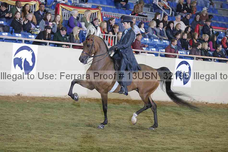 Proof 13usn_32195