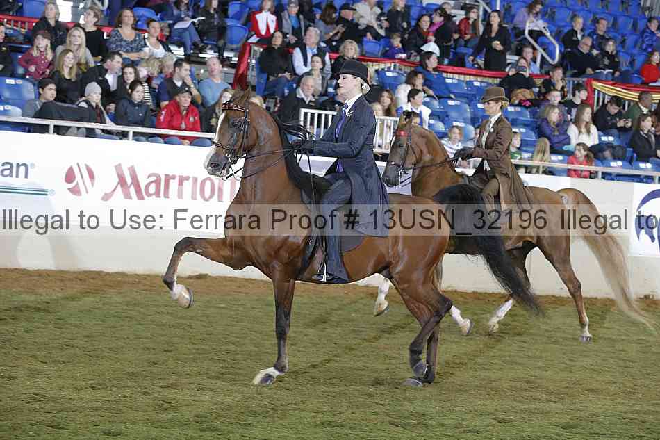 Proof 13usn_32196