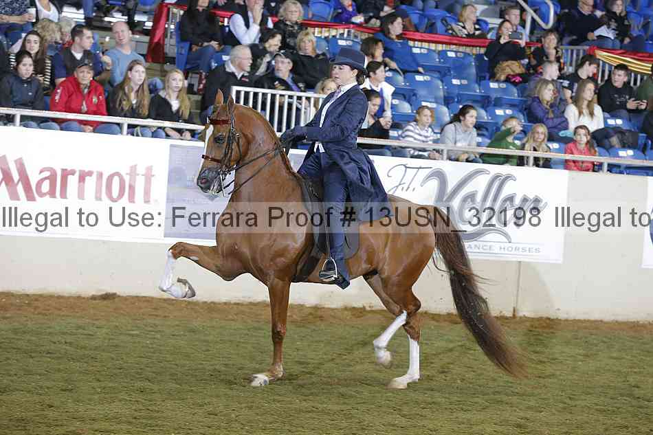 Proof 13usn_32198