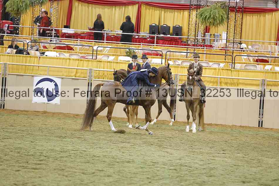Proof 13usn_32253
