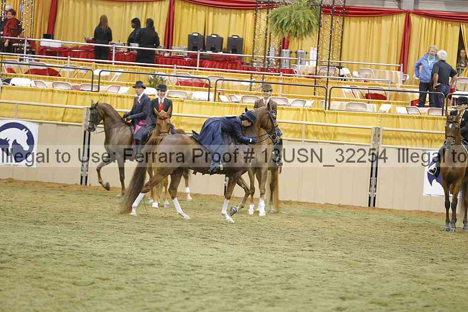 Proof 13usn_32254
