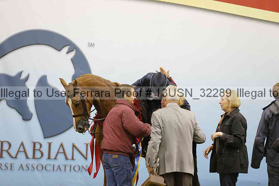 Proof 13usn_32289