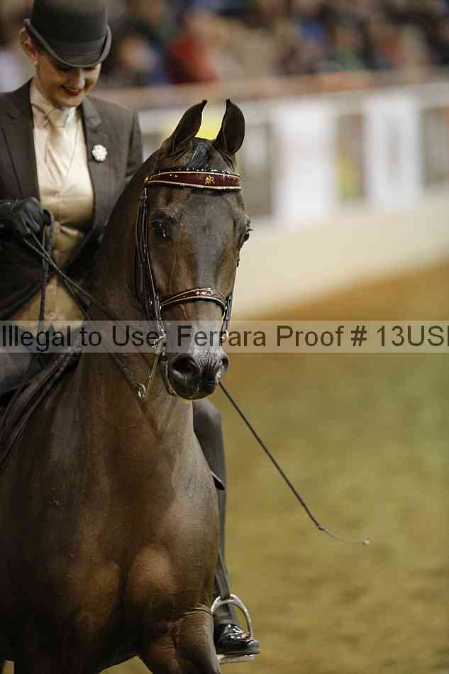 Proof 13usn_32298