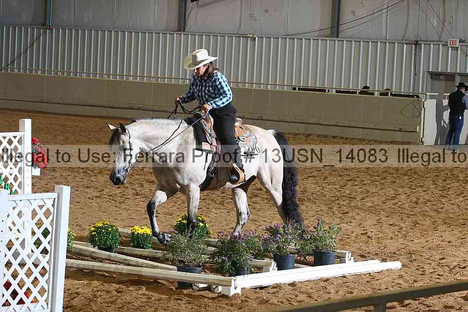 Proof 13usn_14083