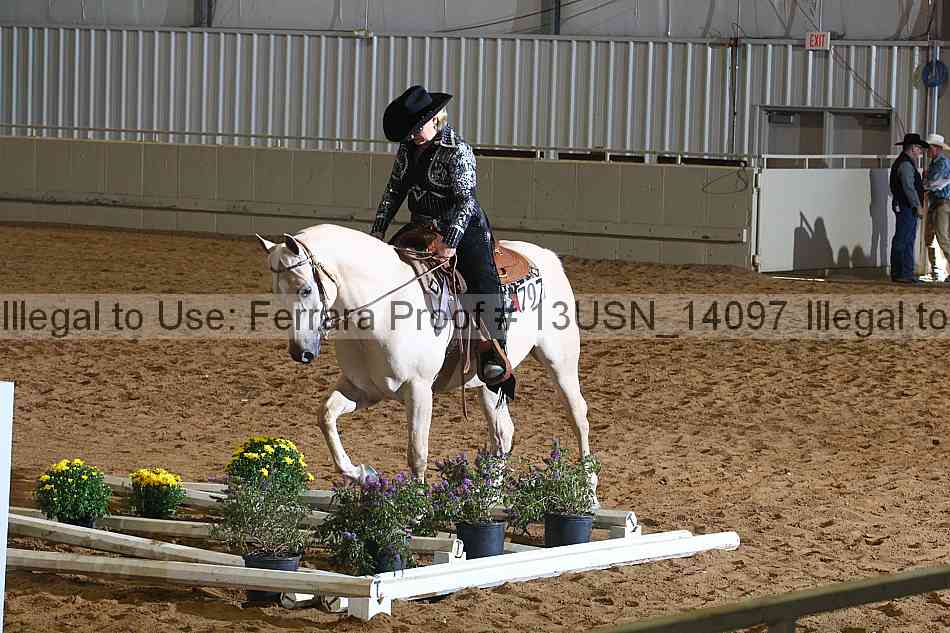 Proof 13usn_14097