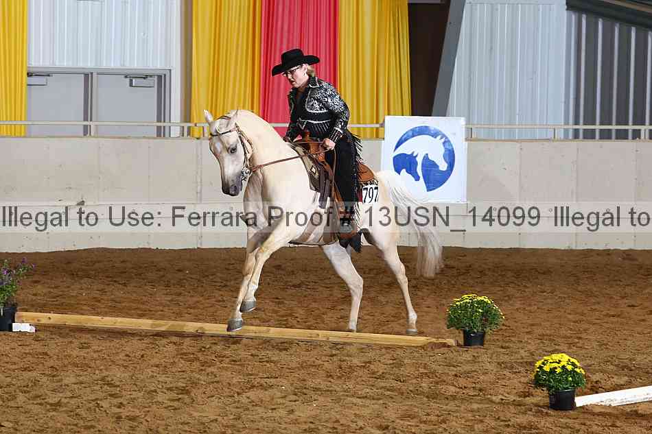 Proof 13usn_14099