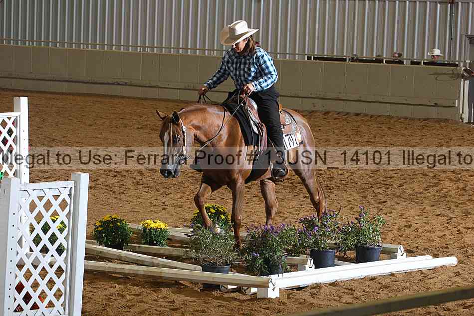 Proof 13usn_14101