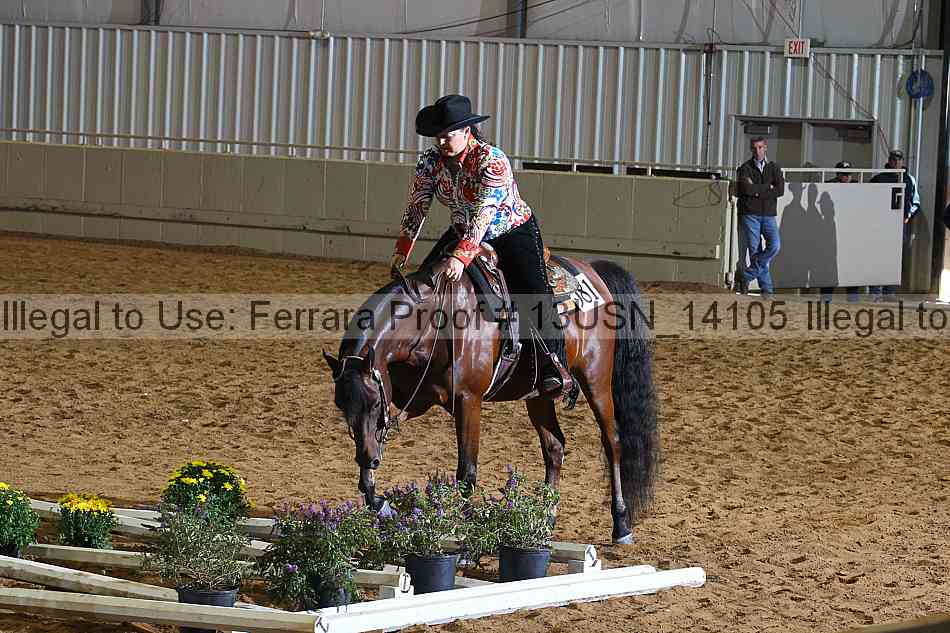 Proof 13usn_14105