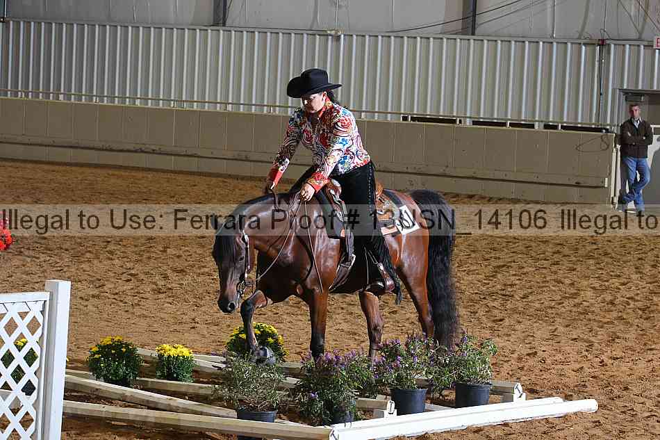 Proof 13usn_14106