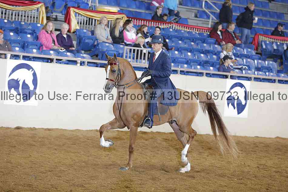 Proof 13usn_09723