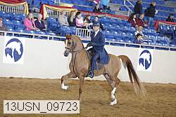 13usn_09723 proof