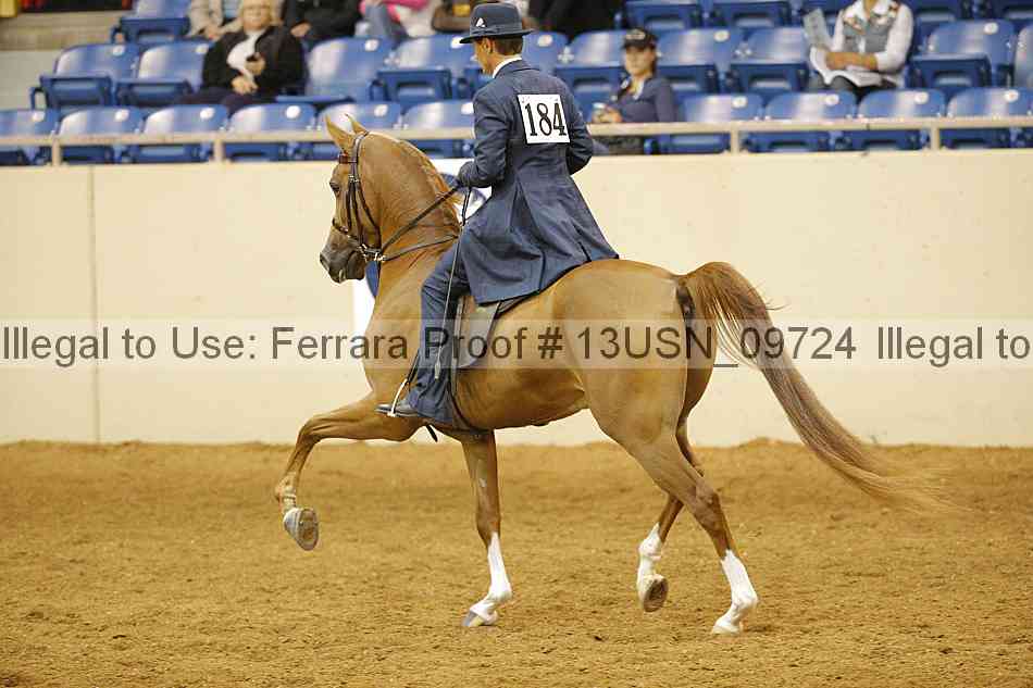 Proof 13usn_09724