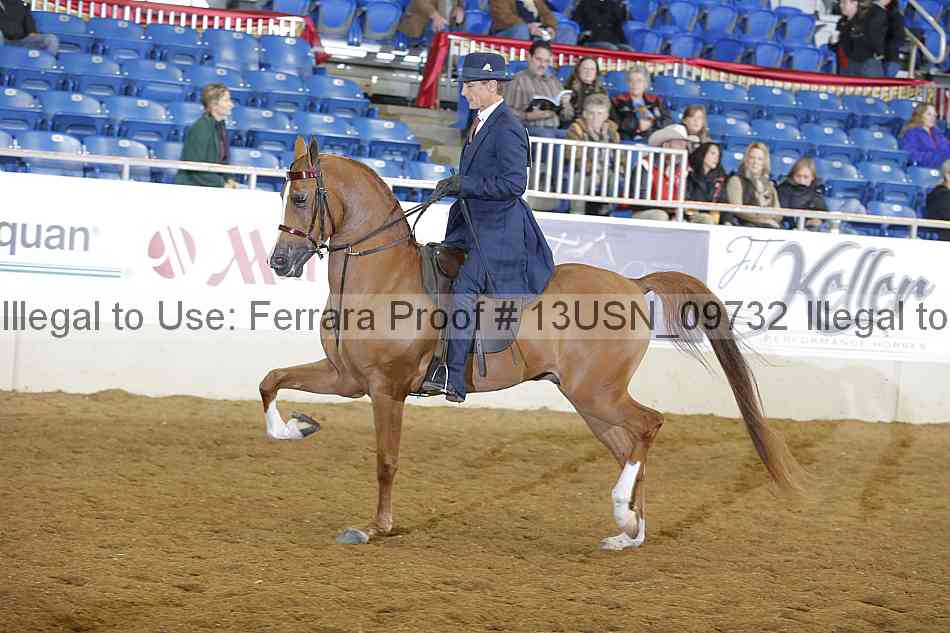 Proof 13usn_09732