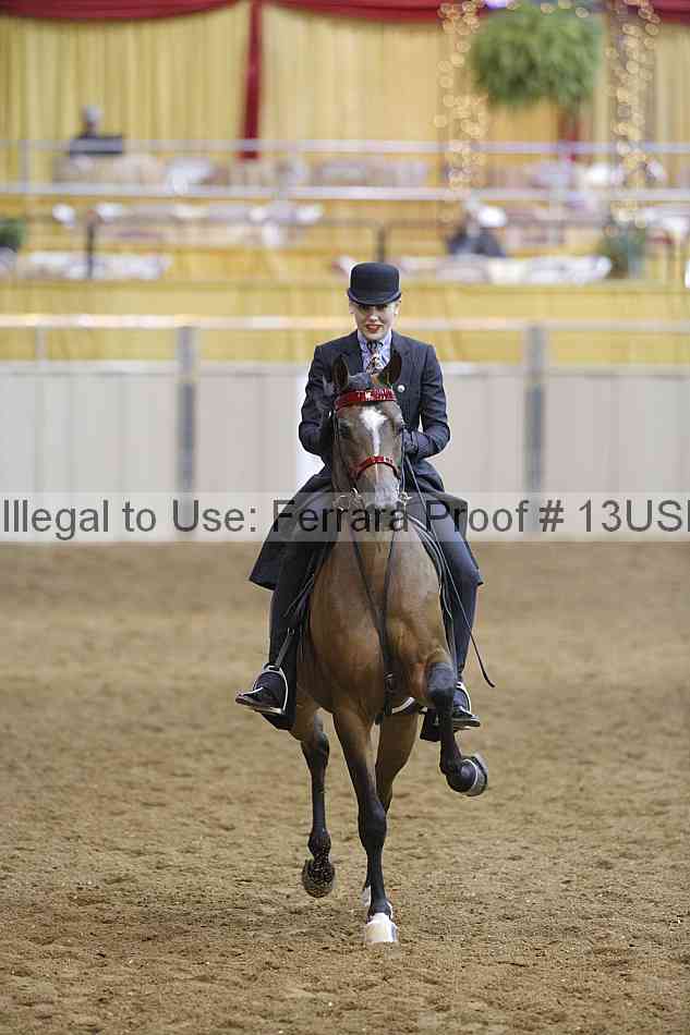 Proof 13usn_09733