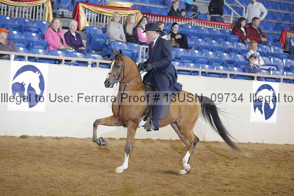 Proof 13usn_09734