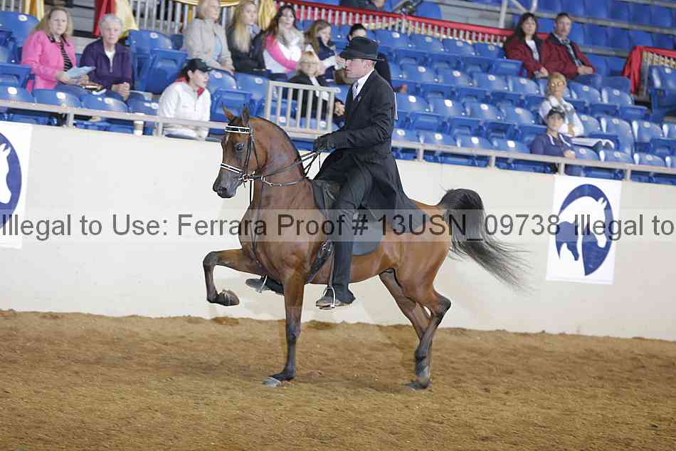 Proof 13usn_09738