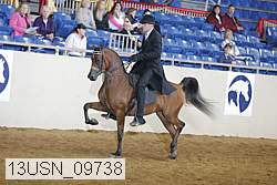 13usn_09738 proof