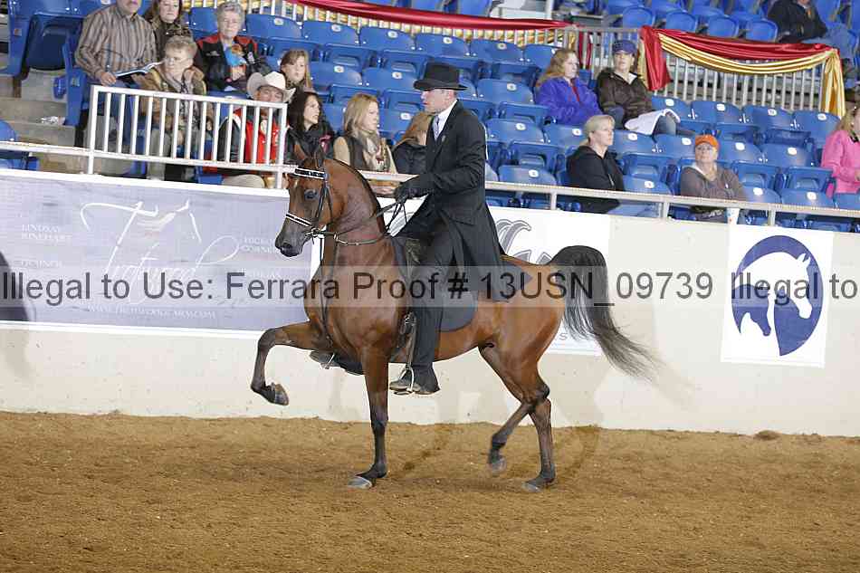 Proof 13usn_09739