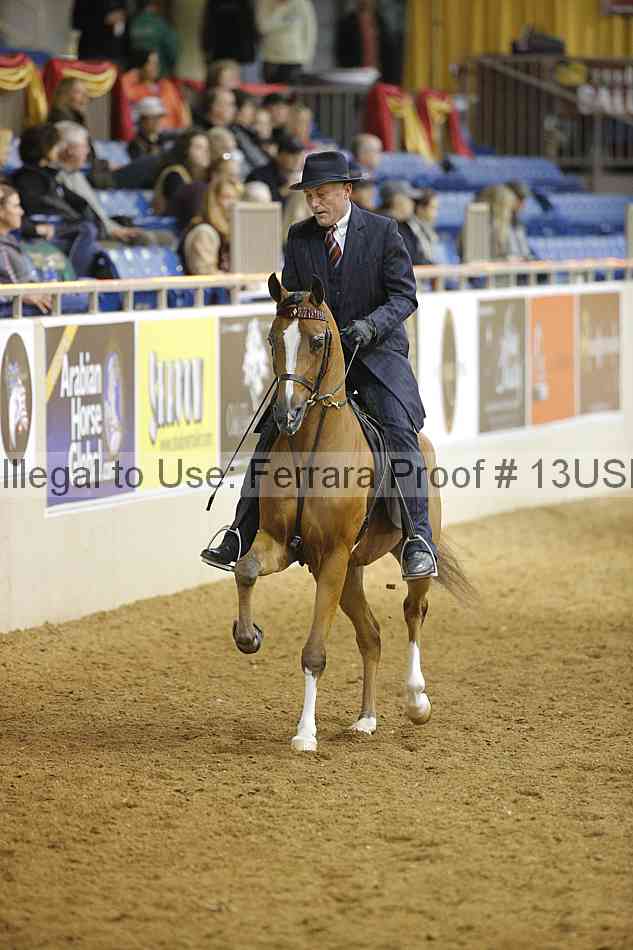 Proof 13usn_09744