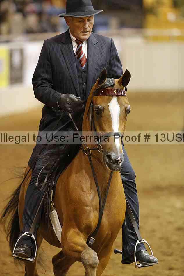 Proof 13usn_09746