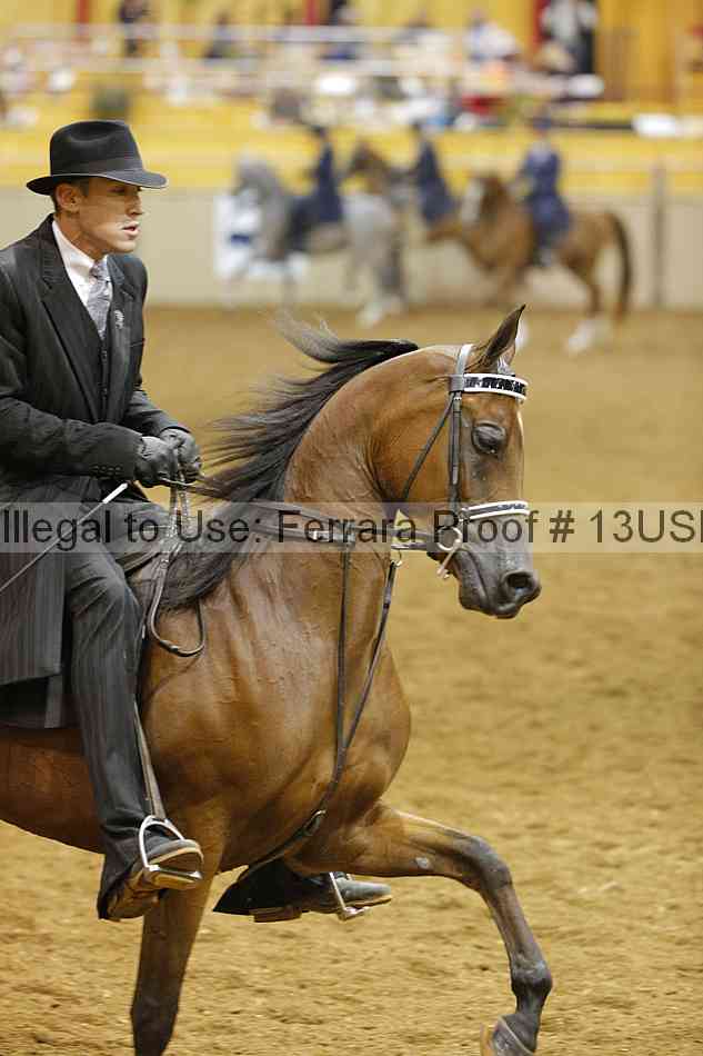 Proof 13usn_09747