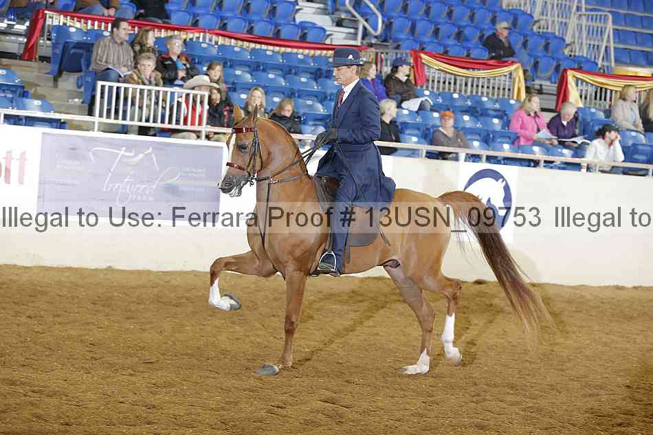 Proof 13usn_09753