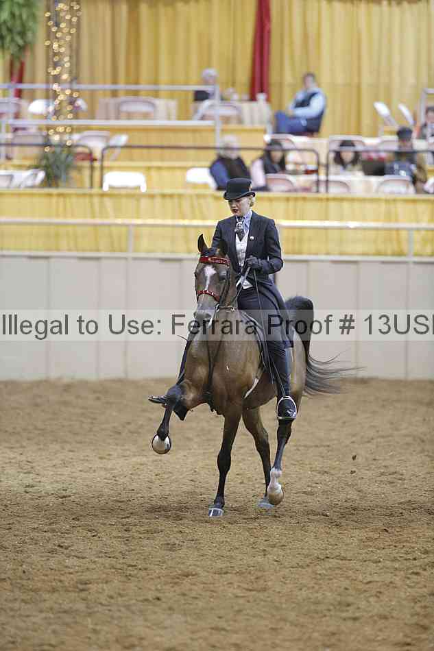Proof 13usn_09758