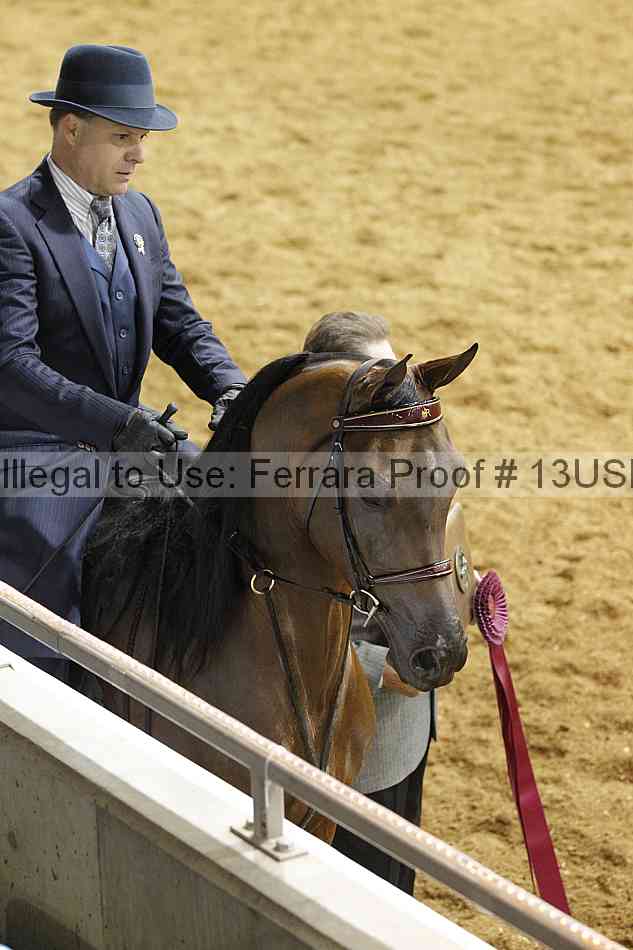 Proof 13usn_09761