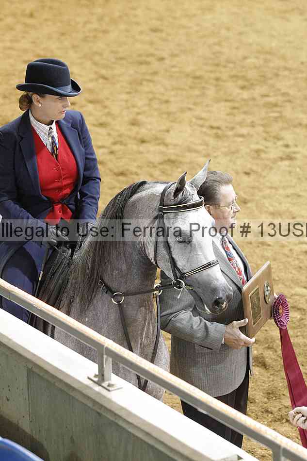 Proof 13usn_09770