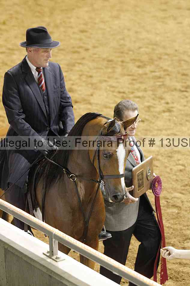Proof 13usn_09772