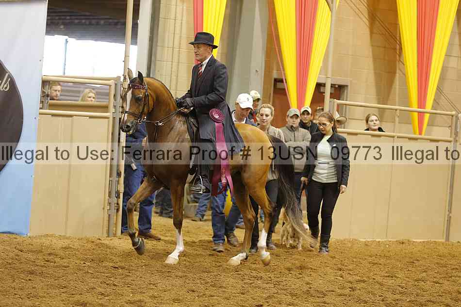 Proof 13usn_09773