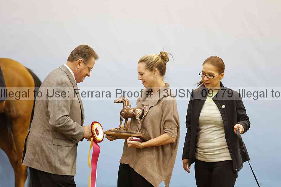Proof 13usn_09779