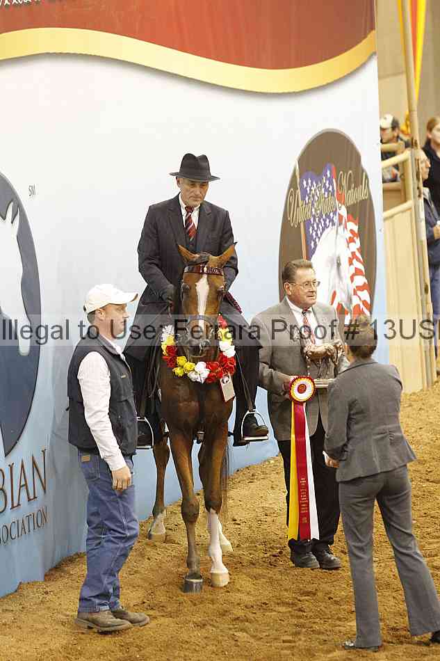 Proof 13usn_09782