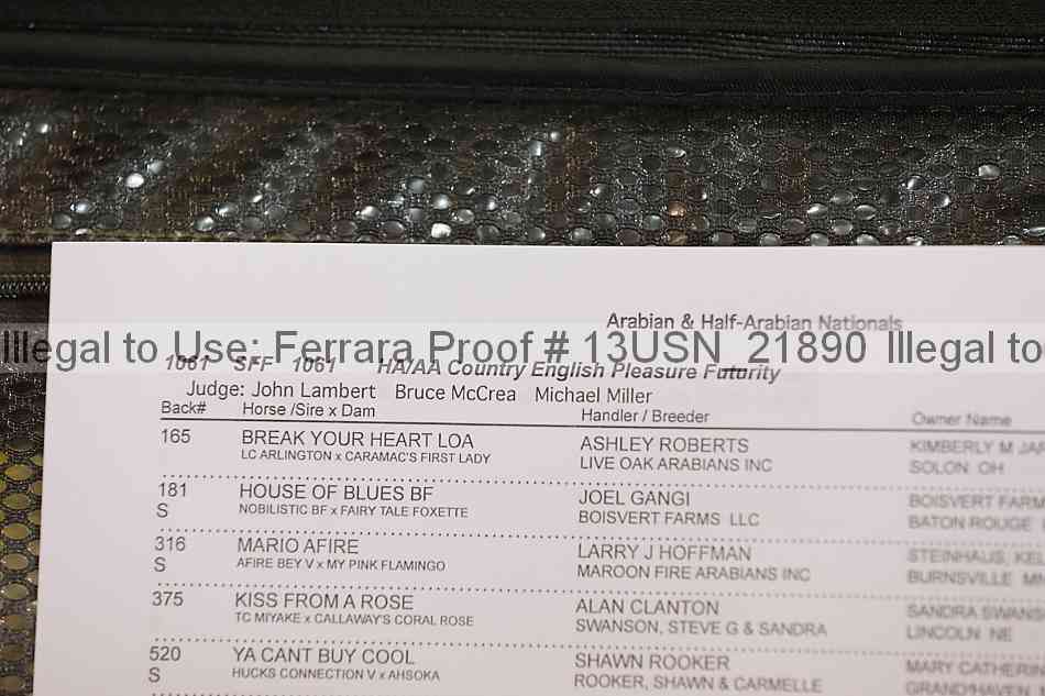 Proof 13usn_21890