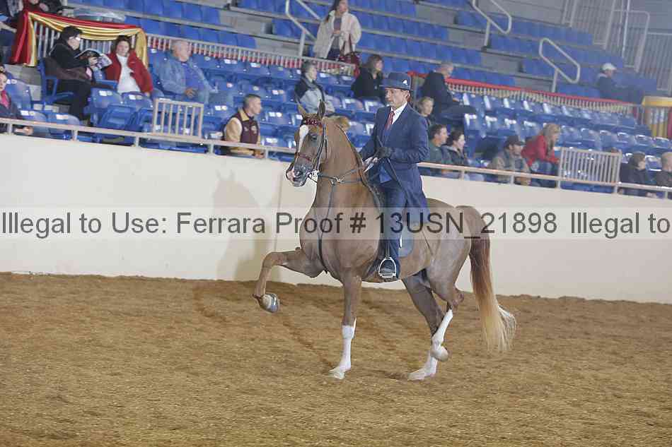Proof 13usn_21898