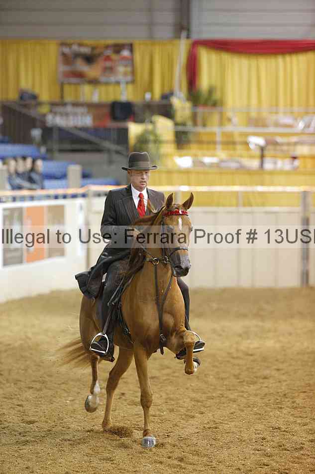Proof 13usn_21899