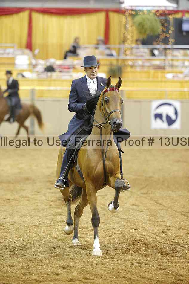 Proof 13usn_21901