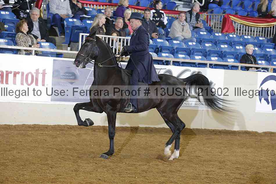 Proof 13usn_21902