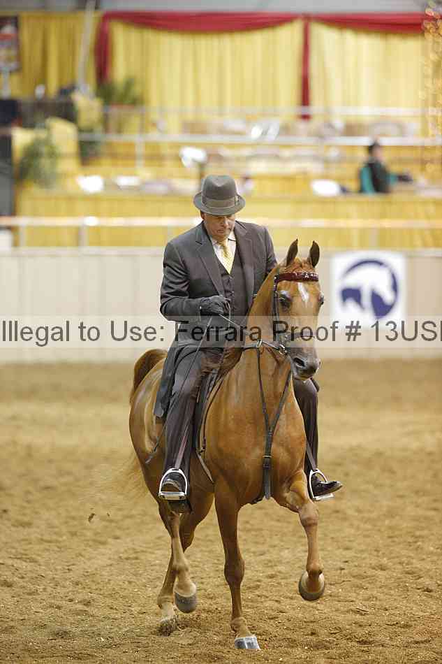 Proof 13usn_21903