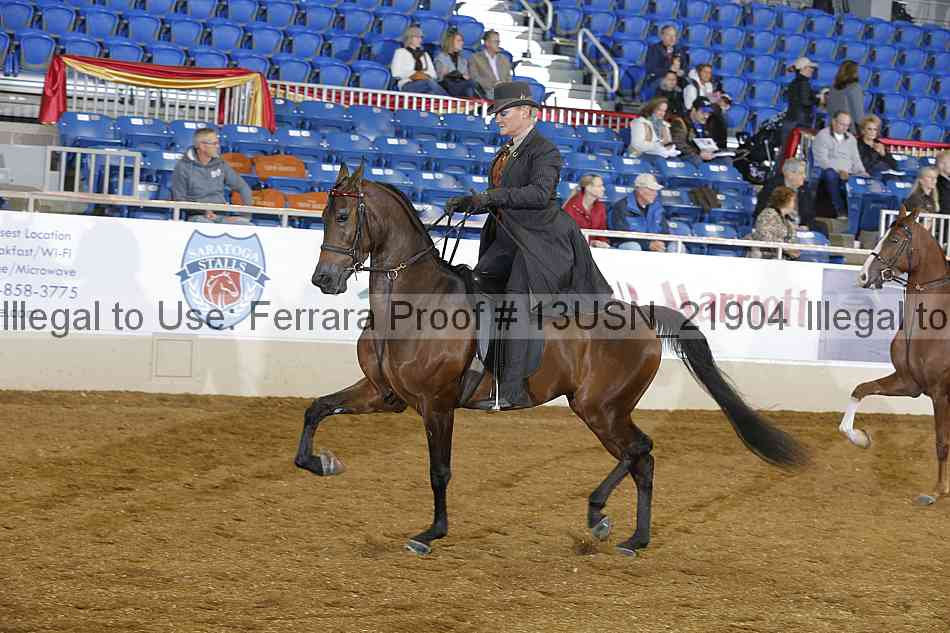 Proof 13usn_21904