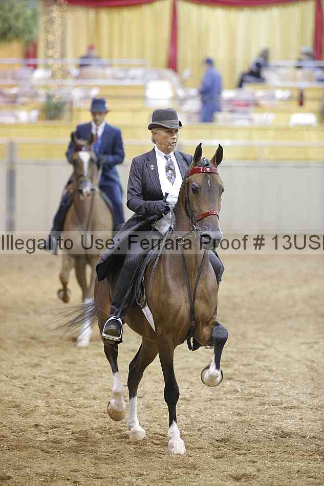 Proof 13usn_21909