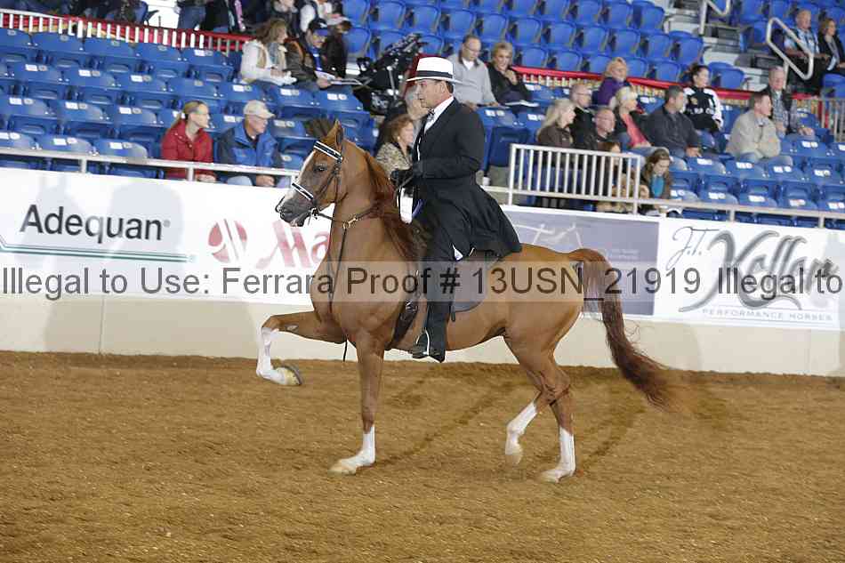 Proof 13usn_21919