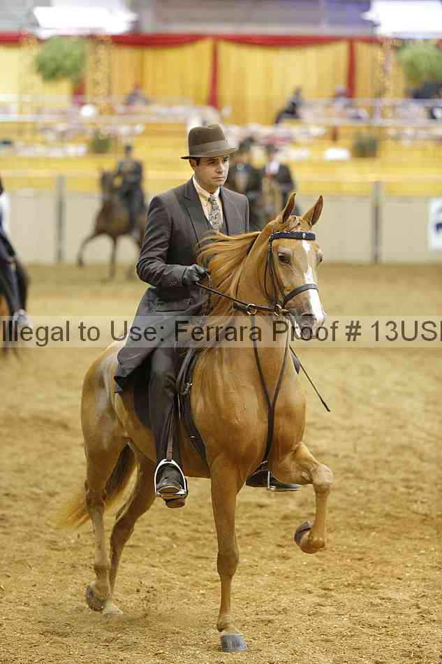 Proof 13usn_21926