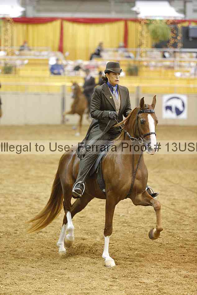 Proof 13usn_21928