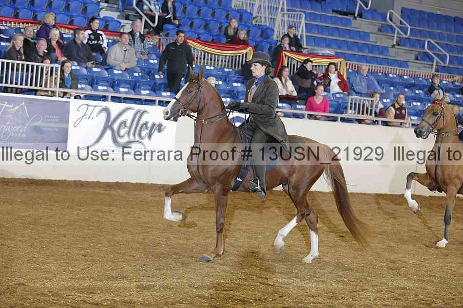 Proof 13usn_21929