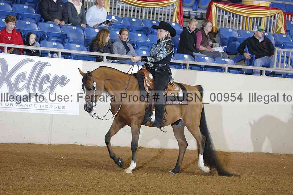 Proof 13usn_00954