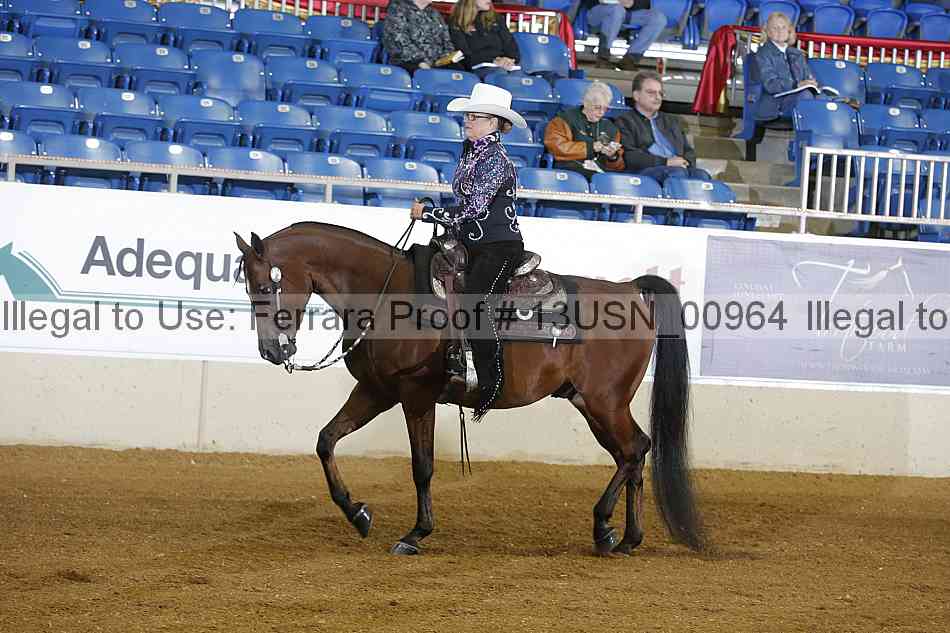 Proof 13usn_00964
