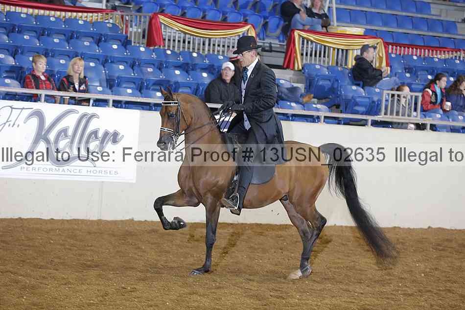 Proof 13usn_02635