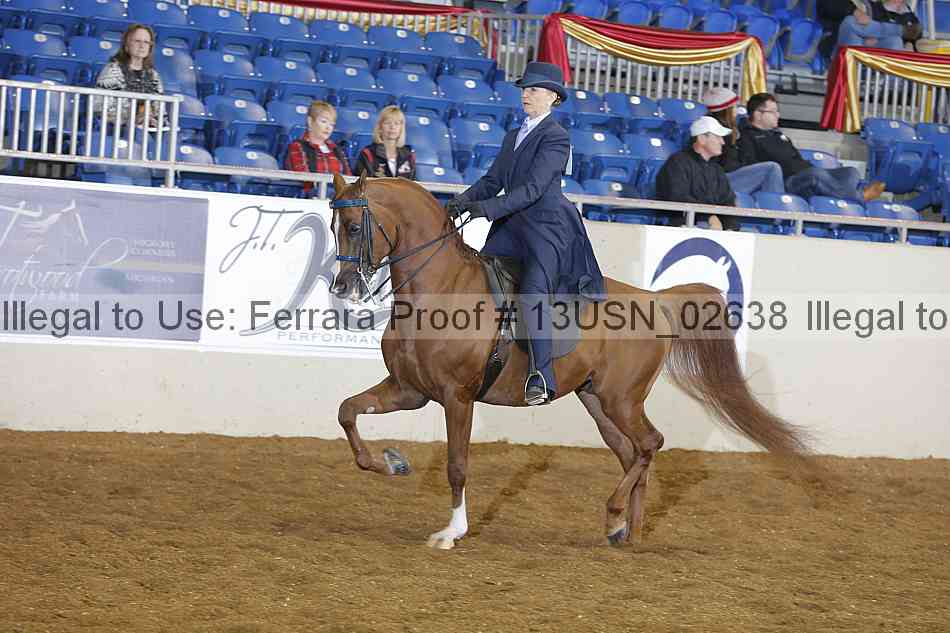 Proof 13usn_02638