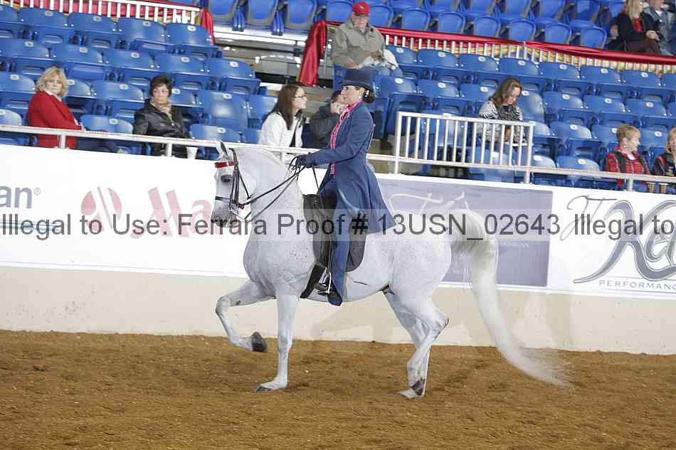 Proof 13usn_02643